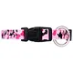 customized dog collar